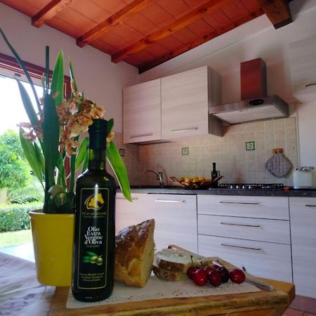 I Cavalleggeri Villa Castagneto Carducci Luaran gambar