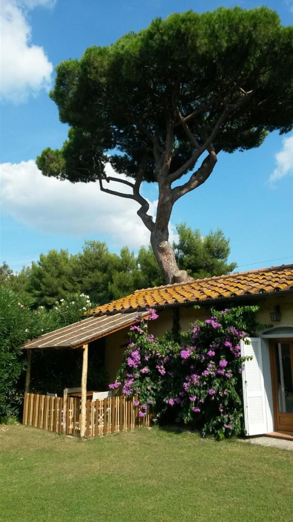 I Cavalleggeri Villa Castagneto Carducci Luaran gambar